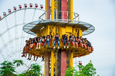 ảnh 4