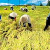 Thông điệp của đối tác tin cậy và có trách nhiệm