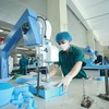 Việt Nam - điểm sáng kinh tế duy nhất ở châu Á