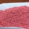 Triệt phá đường dây vận chuyển gần 6.000 viên ma tuý tổng hợp từ Điện Biên về Hà Nội