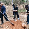 Hà Anh Tuấn thực hiện dự án "trồng cây gây rừng", khởi trồng thành công 2 cánh rừng
