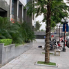 Một phụ nữ rơi từ tầng cao chung cư xuống đất tử vong