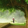 Khung cảnh làng quê đẹp thơ mộng ở Đường Lâm