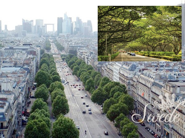 Mô hình kiến trúc xanh hướng đi cho đô thị phát triển bền vững