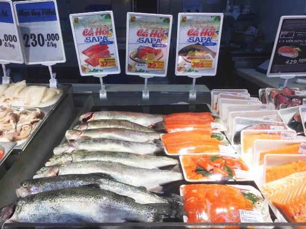 Tuần lễ cá hồi Sapa tại Big C: 265.000 đồng/kg nguyên con
