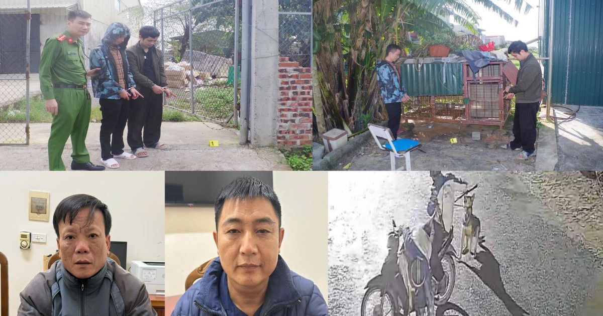 Dùng ớt bột, vỏ chai thủy tinh chống trả khi bị truy đuổi