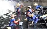 Công nhân dầm mình dưới bùn làm sạch sông Tô Lịch