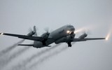 [ẢNH] Tình tiết mới: F-16 Israel không gài bẫy, S-200 Syria cố tình bắn hạ Il-20 Nga?