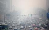 [ẢNH] Nhiều quốc gia đề xuất cấm ô tô chạy bằng xăng dầu