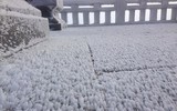 [Ảnh] Đỉnh Fansipan đẹp ngỡ ngàng giữa trời tuyết trắng