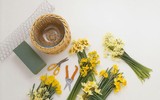 [ẢNH] Những bí quyết giúp hoa tươi lâu trong ngày Tết