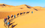 Khám phá những sa mạc đẹp nhất hành tinh