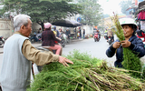 Lá mùi già: Hương sắc khó quên của Hà Nội ngày 30 Tết