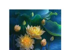 Hoa sen đẹp tinh khôi qua các bức ảnh của Hoàng Bích Vân