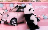 Geely Panda Mini EV - ôtô điện phiên bản gấu trúc giá 5.700 USD