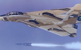 Phi đội F-14 Tomcat do Mỹ cung cấp cho Iran sắp bị loại biên?