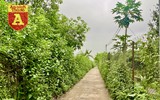 Ngỡ ngàng ‘phát hiện’ vùng bãi xanh mát, không xô bồ ngay tại Hà Nội