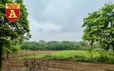 Ngỡ ngàng ‘phát hiện’ vùng bãi xanh mát, không xô bồ ngay tại Hà Nội