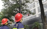 Điều xe thang, huy động lực lượng cứu người mắc kẹt trong tình huống cháy giả định