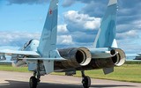 [ẢNH] Su-30SM Nga bất ngờ kích hoạt ghế phóng khi máy bay còn trên mặt đất