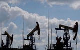Sản phẩm dầu mỏ của Nga tiếp tục tràn vào châu Âu qua hướng đặc biệt