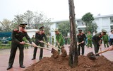 Công an Hà Nội phát động Tết trồng cây đời đời nhớ ơn Bác Hồ