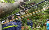 Xúc động hình ảnh những chiến sỹ Công an ngày đêm bám đường giải quyết hậu quả sau bão