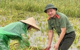 Xúc động hình ảnh Công an thị xã Sơn Tây xuống đồng, giúp dân gặt 180ha lúa