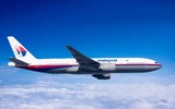 Thực hư giả thuyết máy bay MH370 được tìm thấy trong rừng rậm Campuchia