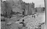 Ngạc nhiên với cuộc sống yên bình và sung túc ‘ngoài dự đoán’ ở Palestine thế kỷ trước
