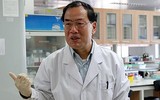 Trắc trở của nhà khoa học Trung Quốc đầu tiên công bố trình tự gene virus Covid-19 