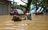 Hàng triệu người Bangladesh lóp ngóp trong nước lũ