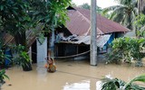 Hàng triệu người Bangladesh lóp ngóp trong nước lũ