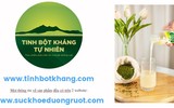 Tinh bột kháng tự nhiên 