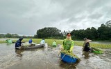 Nhìn lại hành trình chia sẻ nghĩa tình với đồng bào vùng bão lũ