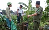 Hà Nội: Lực lượng Bảo vệ an ninh trật tự ở cơ sở sát cánh cùng nhân dân vượt qua khó khăn trong bão lũ