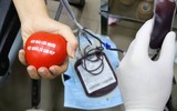Những nữ Công an Hà Nội xinh đẹp, hiến máu hưởng ứng Chương trình 'Chủ nhật đỏ'