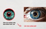 Mống mắt con người có gì đặc biệt? 