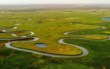 Okavango - Kỳ quan thiên nhiên của châu Phi