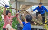 Hình ảnh Bộ Tư lệnh Cảnh sát cơ động phối hợp Công an Hà Nội làm sạch môi trường sau bão số 3