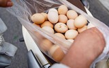 Tràn ngập vỉa hè Hà Nội: 'Giải cứu' trứng gà giá 65.000đ/30 quả