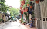 Nhìn từ flycam khu chung cư cũ sắp được lập quy hoạch chi tiết để xây dựng lại ở Hà Nội