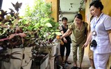 Theo chân đội xung kích diệt bọ gậy, phòng sốt xuất huyết ở Hà Nội