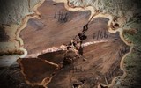 Loại gỗ quý hiếm, có khả năng chống cháy, giá 300 triệu đồng/m3