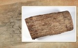 Loại gỗ quý hiếm, có khả năng chống cháy, giá 300 triệu đồng/m3
