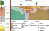 Loài cây có khả năng 