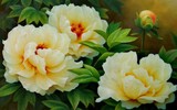 Loài hoa kỳ diệu “bước ra từ truyền thuyết” của Việt Nam, đổi màu ba lần/ngày