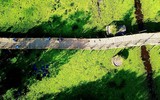 Check-in cây cầu tre dài 10km tại Việt Nam