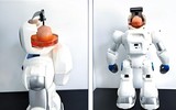 Trung Quốc chế tạo thành công robot có não làm từ tế bào gốc của người 