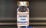 Chất kịch độc fentanyl, chỉ thấm qua da cũng tử vong